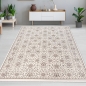 Preview: Wohnzimmerteppich modern florales orientales Muster in beige